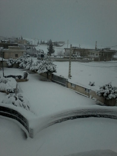 لبنان يستقبل العاصفة (زينة 2015 )
