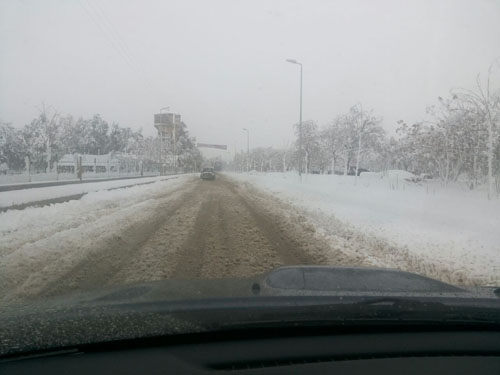 لبنان يستقبل العاصفة (زينة 2015 )