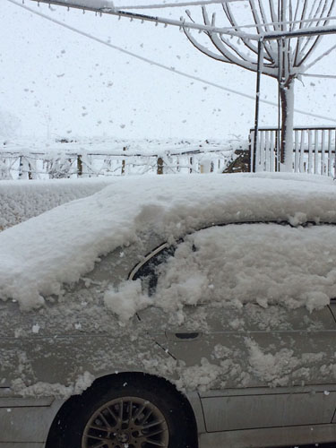 لبنان يستقبل العاصفة (زينة 2015 )