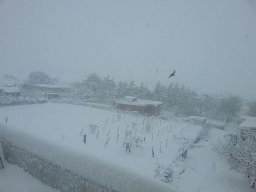 لبنان يستقبل العاصفة (زينة 2015 )