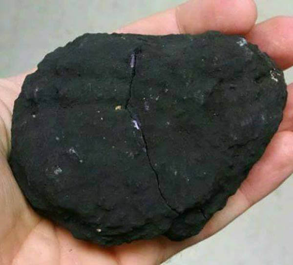 لا تخدعك المظاهر .. لا تعلم قدر الجمال الذي يخفيه في الداخل