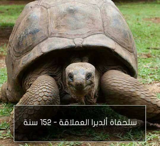 اطول الحيوانات عمراً