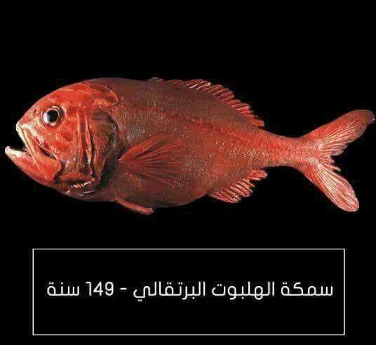 اطول الحيوانات عمراً