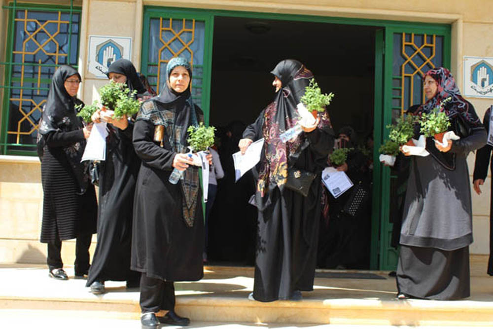 زراعة الزعتر في الجنوب