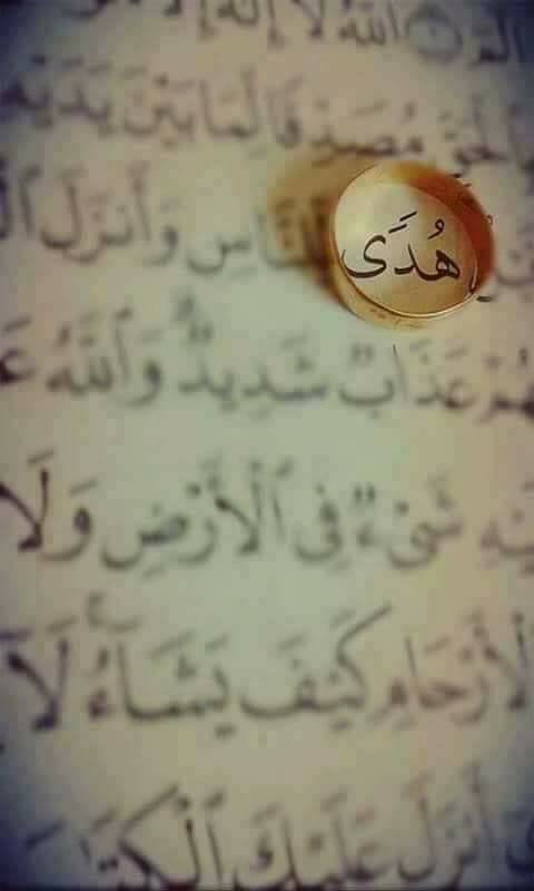 أسماء في القرآن الكريم