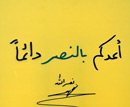صور النصر في الذكرى الثامنة لحرب تموز