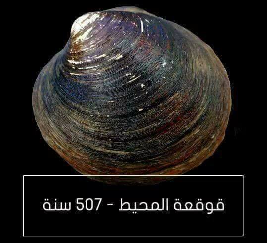 اطول الحيوانات عمراً