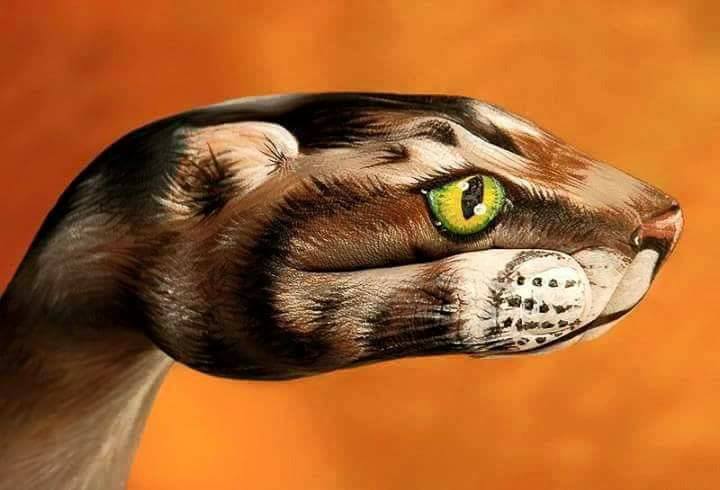 ابداع الرسم على كف اليد