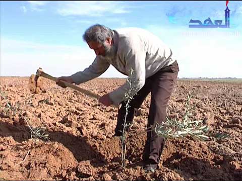 عودة المزارعين للمنطقة العازلة في غزة