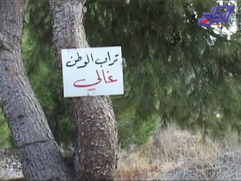 صيدا تقارع نسبة التلوث المرتفعة