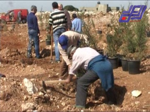 حملة تشجير لمشاعات بلدة جون اللبنانية