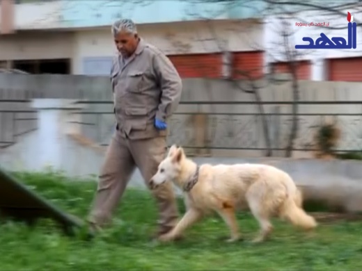 الاولى من نوعها في لبنان .. ما هي ؟ 