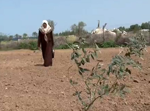 لأنها معلمةٌ وفلاحة .. &rsquo;&rsquo;شيّبت&rsquo;&rsquo; إسرائيل !