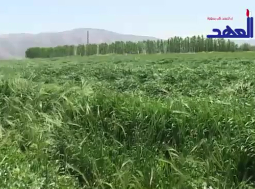 مزارعو البقاع يعتصمون احتجاجاً على الأضرار الزراعية لهذا الموسم