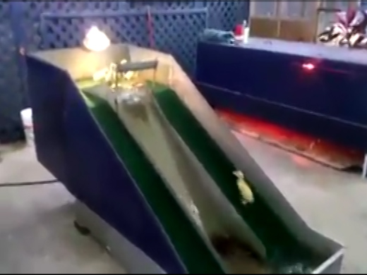عندما يلعب البط!