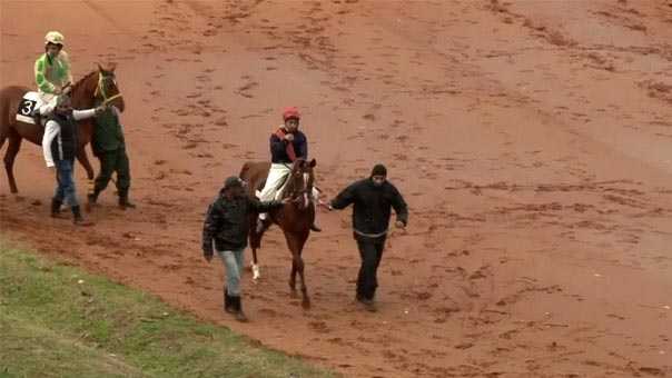 ميدان سباق الخيل في بيروت مهدد بالزوال