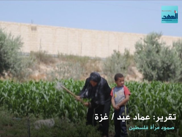 صمود امرأة فلسطينية - عماد عيد - 13-08-2016