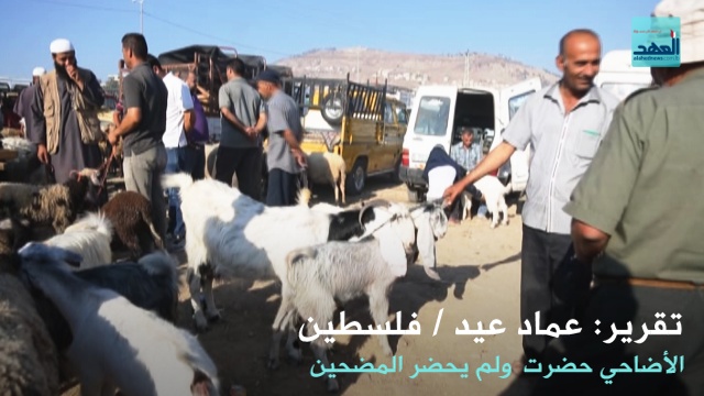 الأضاحي حضرت ولم يحضر المضحون - عماد عيد - 10-09-2016