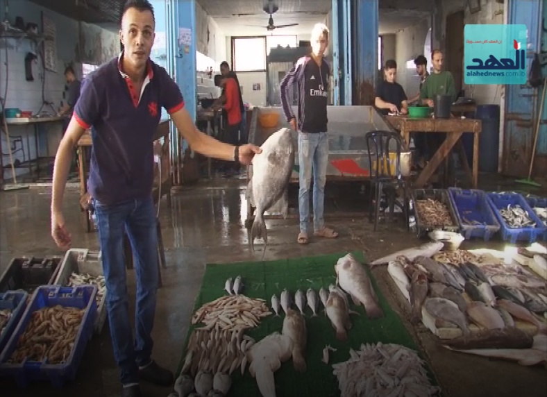 انواع جديدة من السمك الغزاوي!
