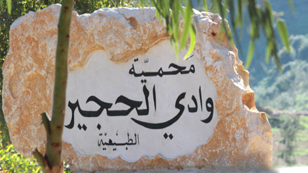 محمية وادي الحجير