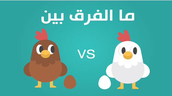 ما الفرق بين البيض الأبيض والبني؟