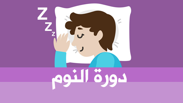 دورة النوم .. كيف أستيقظ نشيطاً!