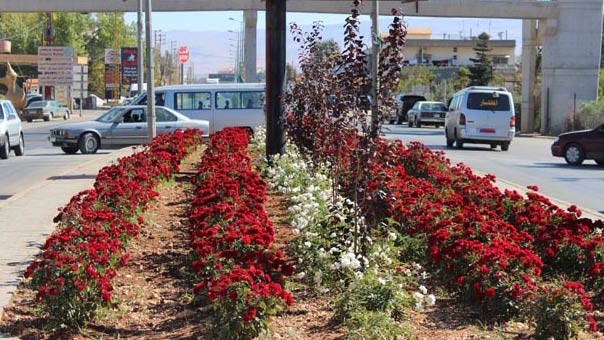 بالفان من البقاع إلى بيروت: التجربة &rsquo;بنكهة&rsquo; أخرى