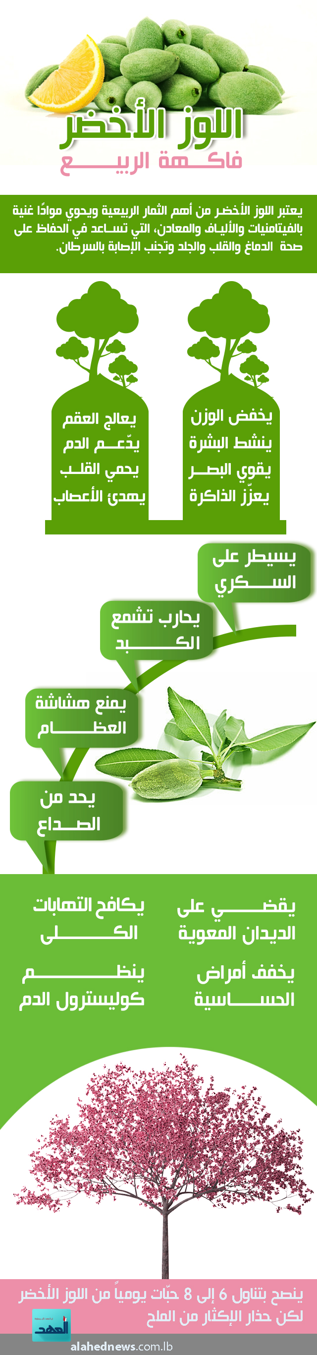 اللوز الأخضر فاكهة الربيع