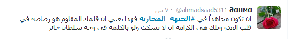 مقاومة في كل الميادين: #الجبهة_المجازية
