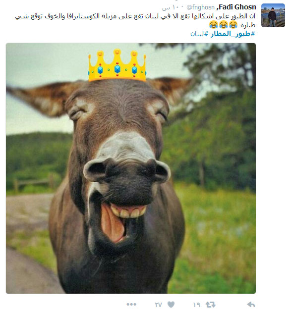 #طيور_المطار.. شرّ البلية ما يضحك