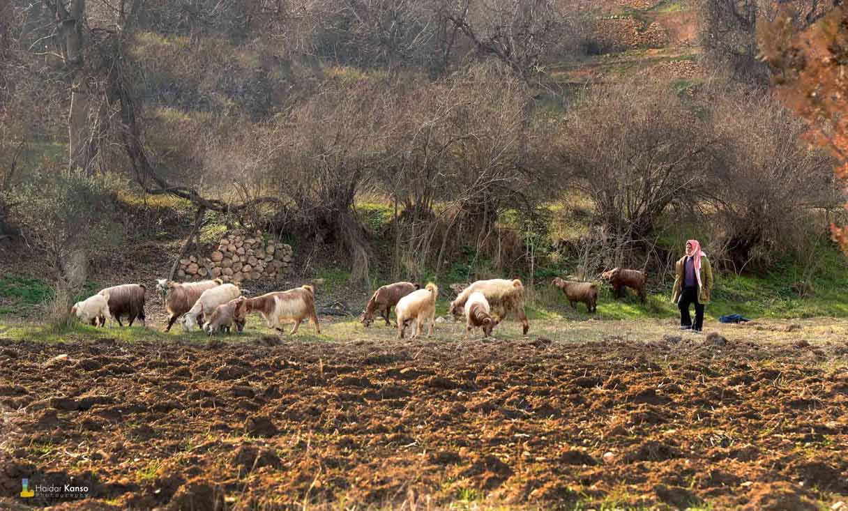 بعلبك –الهرمل: ’حديث’ ذو شجون