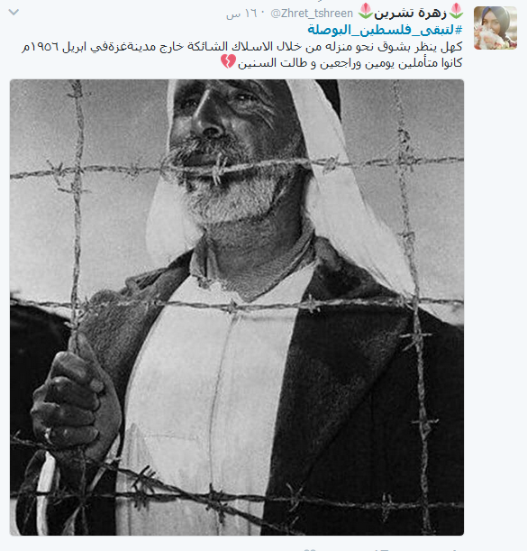 #لتبقَ_فلسطين_البوصلة