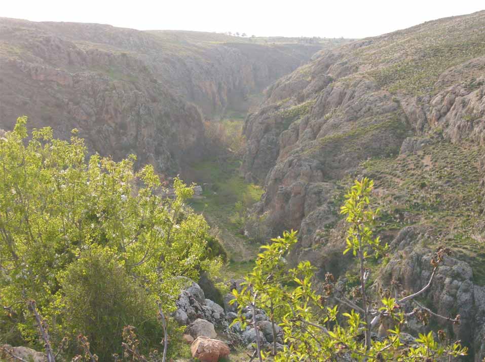أول أيام الربيع في لبنان: الى  الحياة در...