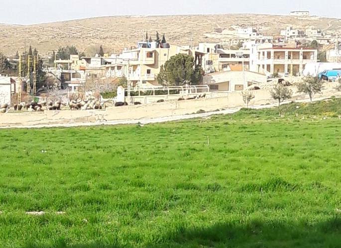 أول أيام الربيع في لبنان: الى  الحياة در...