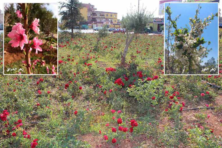 أول أيام الربيع في لبنان: الى  الحياة در...