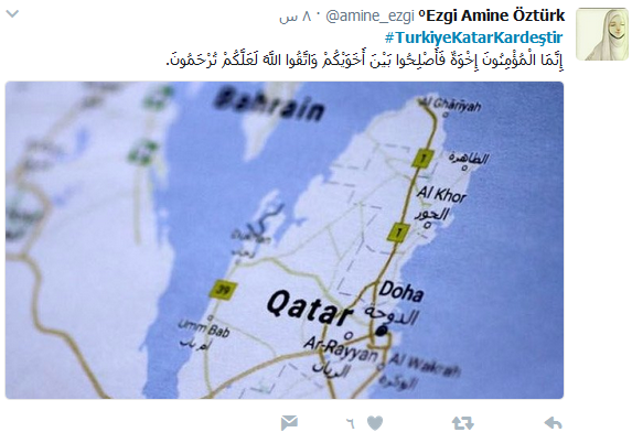 بعد #قطع_العلاقات_مع_قطر.. أتراك يطلقون TurkiyeKatarKardeştir#