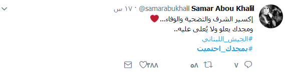 #بمجدك_احتميت يا جيش لبنان