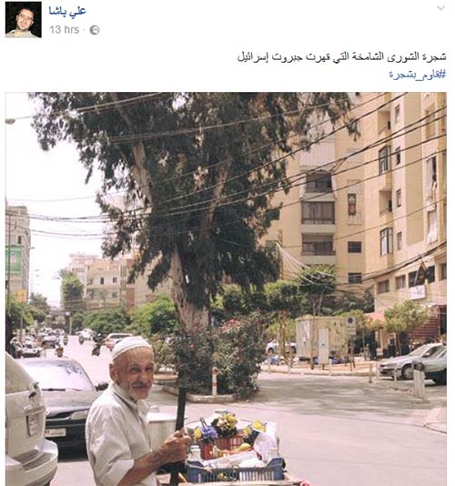 الشجرة وصيّة &rsquo;السّيد&rsquo;.. وشعب المقاومة يلبّي