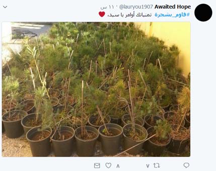 الشجرة وصيّة ’السّيد’.. وشعب المقاومة يلبّي