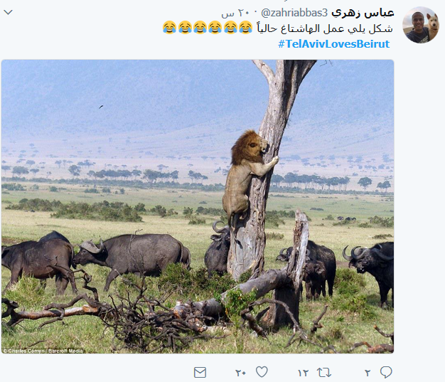 لبنانيون يتصدّون لـ #TelavivlovesBeirut: اسمها تلّ الربيع