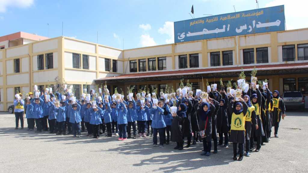 150 شجرة سرو لطلاب مدارس المهدي -القطراني