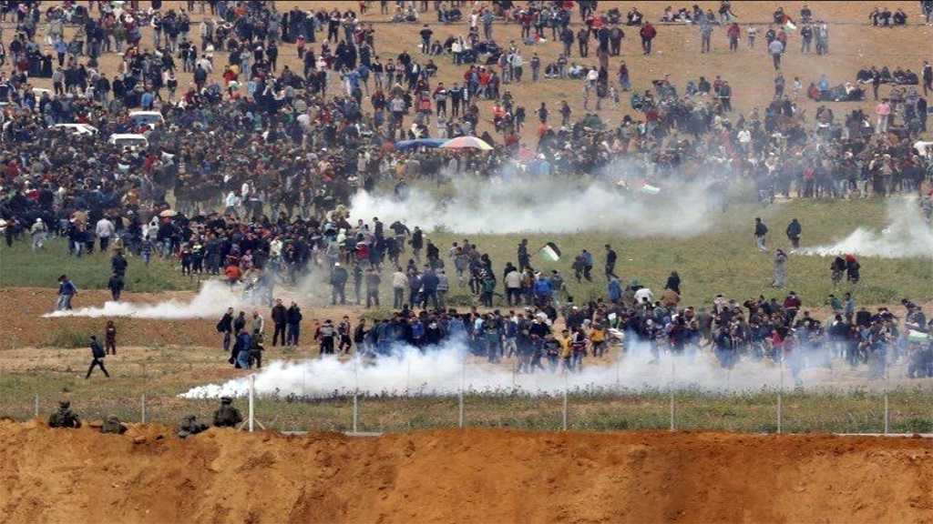 عندما يكتب محمد ابو عمرو لفلسطين بدمه : &rsquo;انا راجع&rsquo;