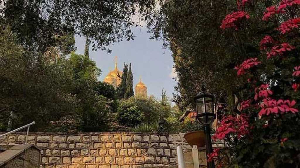 فلسطين .. الجميلة 