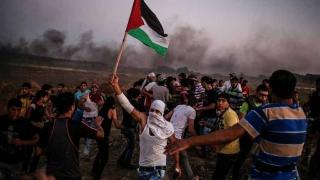 &rsquo;والاه&rsquo;: لا حلّ  للطائرات الورقية