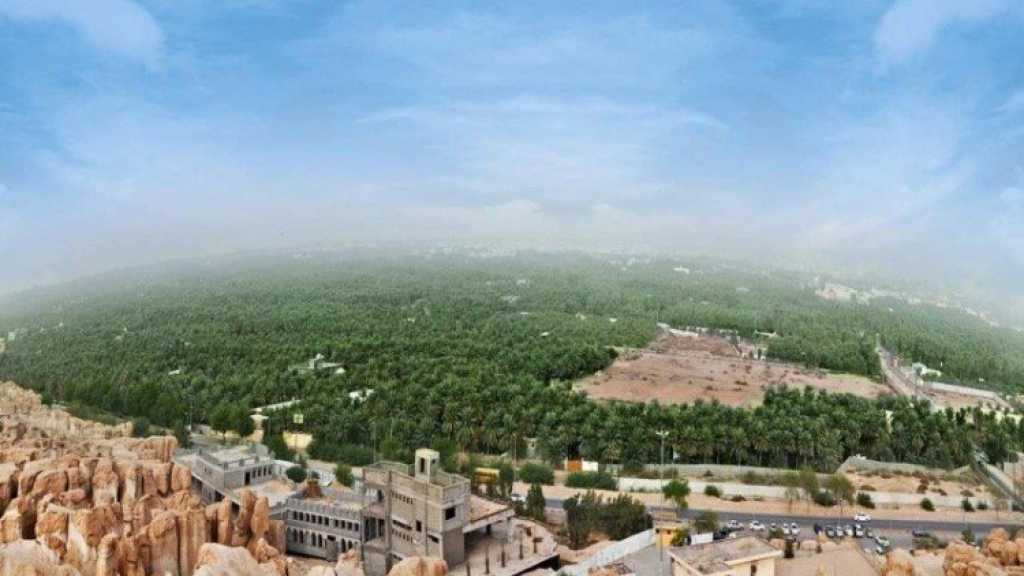 اليونسكو تدرج واحة الاحساء السعودية على قائمة التراث الإنساني العالمي