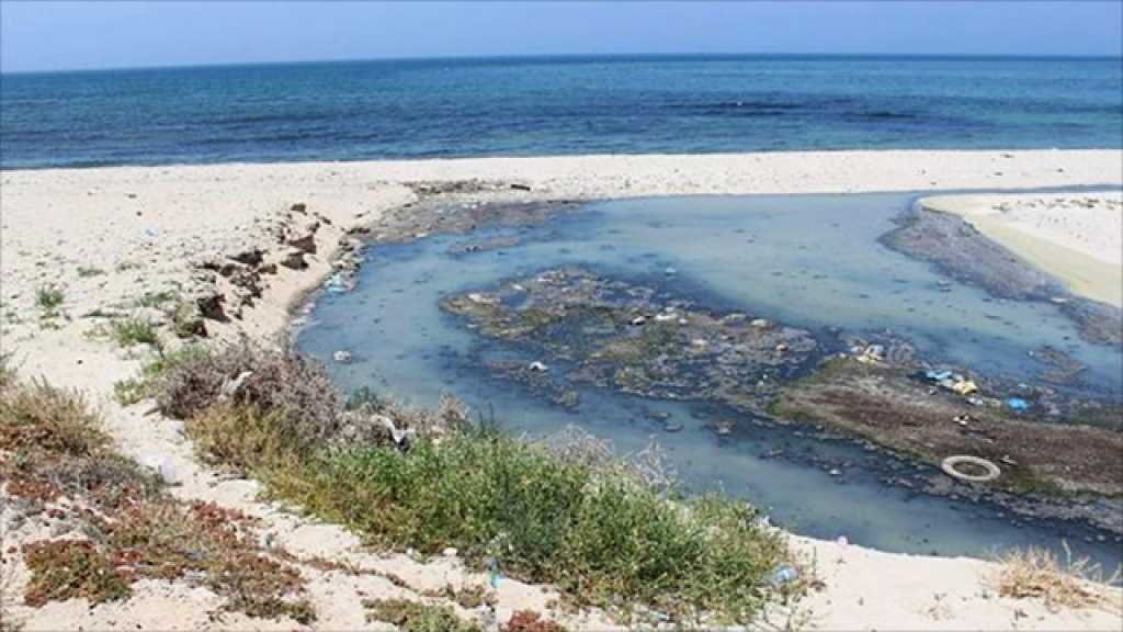 التلوث يغزو بحر الشمال.. والمواطنون في خطر