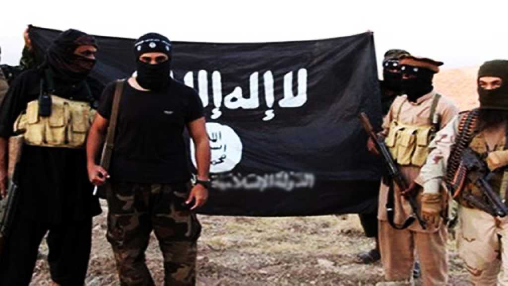عودة التكفيريين التونسيين من سوريا.. أزمة جديدة في تونس؟