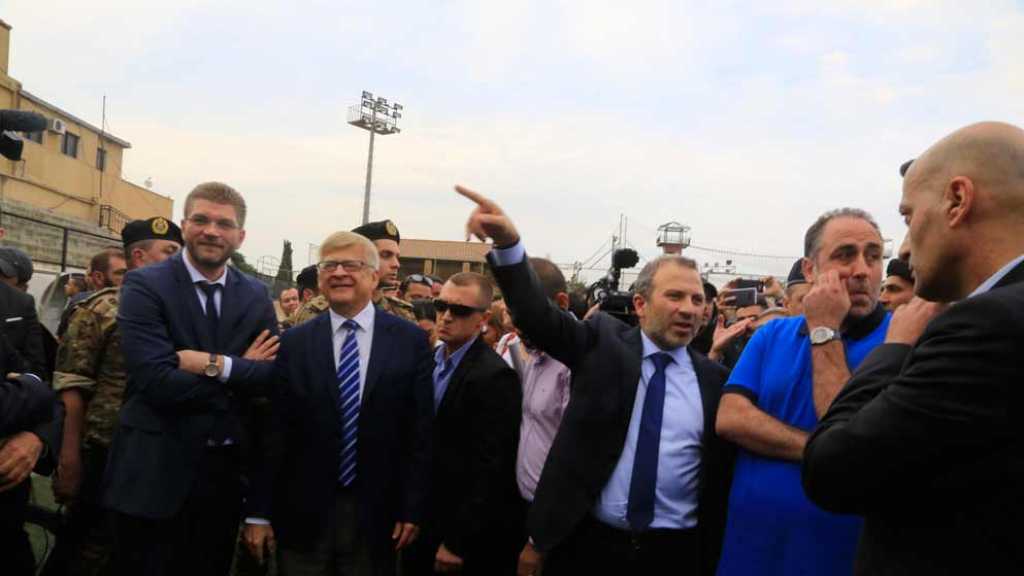 جولة باسيل.. قوة لبنان في تكامله السياسي والعسكري