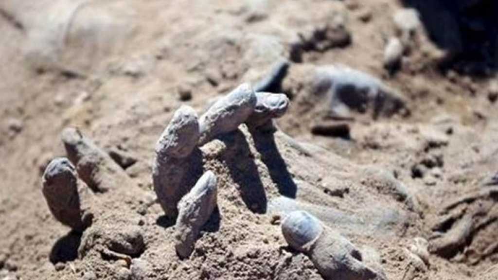 &rsquo;هيومان رايتس ووتش&rsquo;.. ولعبة تسييس الحقوق في العراق!