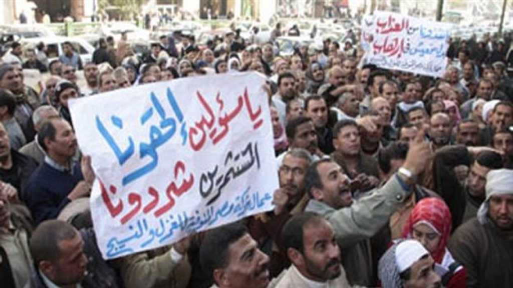 الخصخصة.. إصلاح الإفقار والقتل